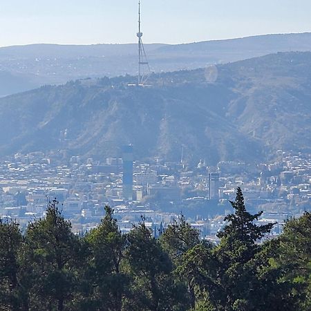 Уиут Ниниа Сад Apartamento Tbilisi Exterior foto